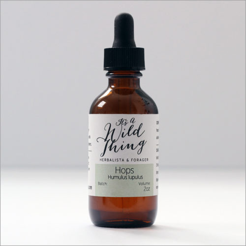 Hops Humulus Lupulus